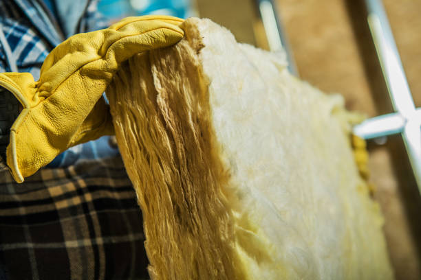 Best Home Insulation Services  in Le Center, MN
