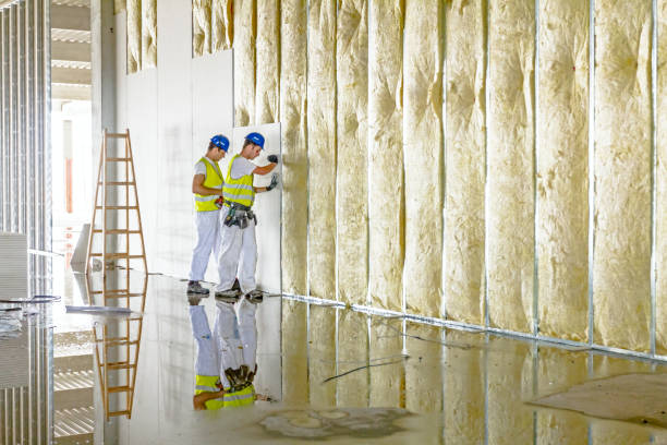 Best Soundproof Insulation Installation  in Le Center, MN
